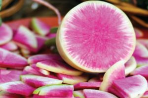 Περιγραφή της ποικιλίας daikon Misato Pink glitter, χαρακτηριστικά καλλιέργειας και φροντίδας