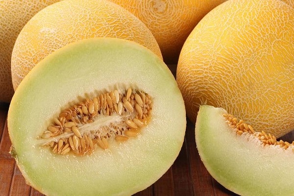 melons i carbasses