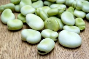 Description of the Lima bean variety, features of cultivation and care