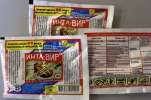 Intavir ilacının Colorado patates böceğine karşı kullanımı için talimatlar
