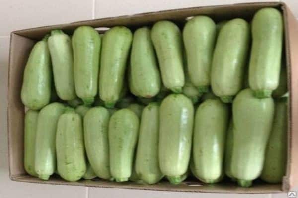 zucchini sa isang kahon