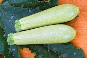 Descrizione della varietà di zucchine Iskander f1, caratteristiche di coltivazione e resa