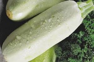 Description of the variety of zucchini Rolik, features of cultivation and care