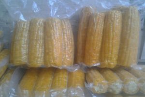 Cómo almacenar mazorcas de maíz para el invierno en casa.