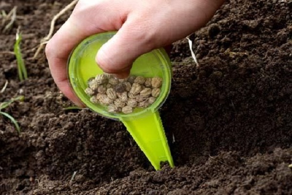 suitable soil