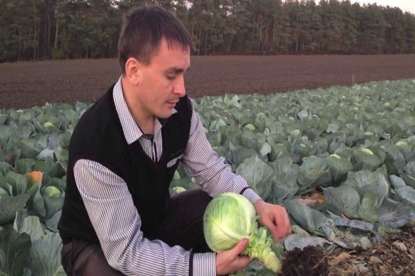 man holding cabbage