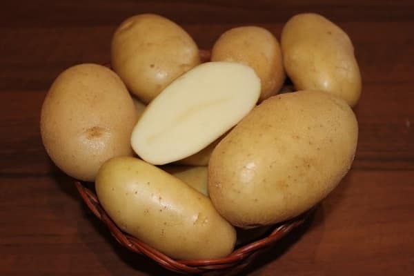 pommes de terre robustes