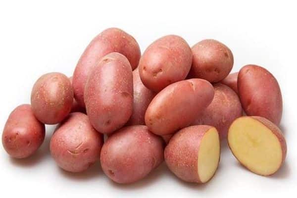 odrůda bramborových labela
