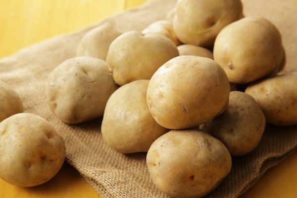 voksende kartofler