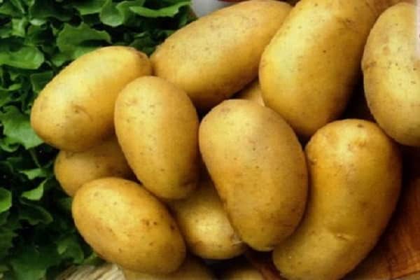 racconto di patate