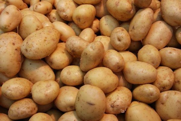 molte patate