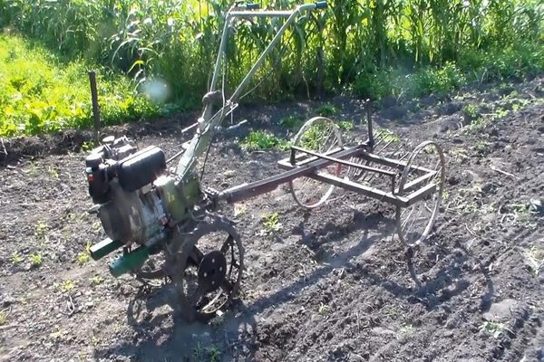 máy đào khoai tây trên mặt đất