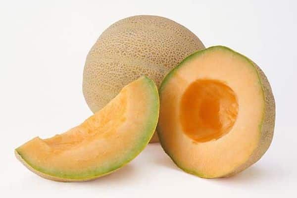 melon skadedyr