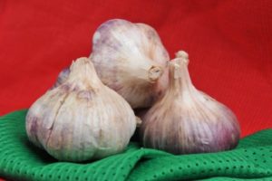 Descrizione della varietà di aglio Polesie souvenir, peculiarità di coltivazione e cura