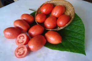 Pomidorų veislės „Salute“ aprašymas, auginimo ir priežiūros ypatybės