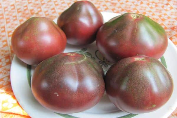 rajčice na tanjuru