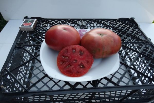 corte de tomate