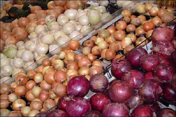 history of onions
