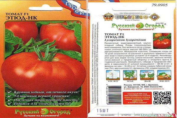 pomidorų etiudas