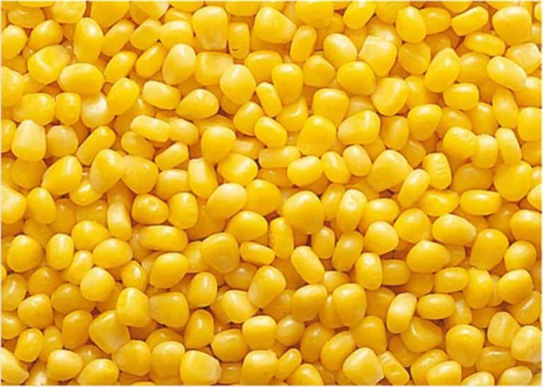 granos de maíz
