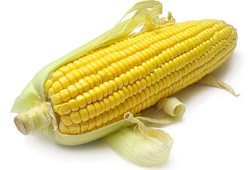 huśtawka kukurydziana