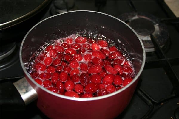 the process of cooking dogwood jam