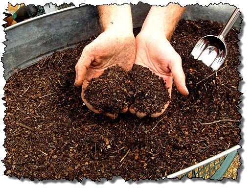 soil fertilization