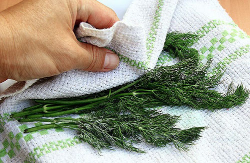 dill and towel