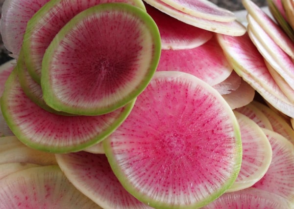 slices of watermelon radish