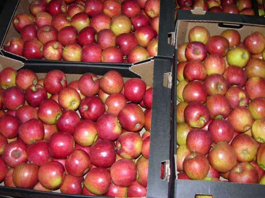 Προετοιμασία των μήλων