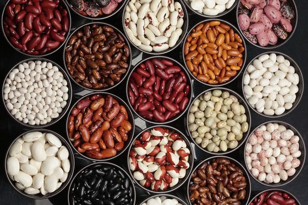 beans varieties