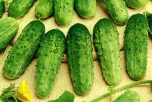 Description of the cucumber variety Zhuravlenok f1, its characteristics and yield