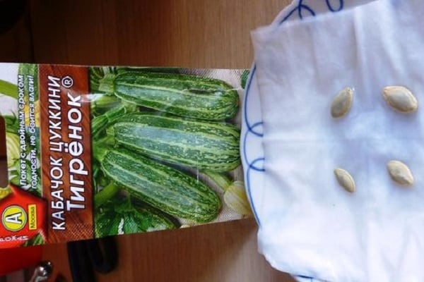 standaard courgette