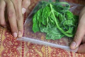 How you can keep fresh basil in the refrigerator for the winter at home