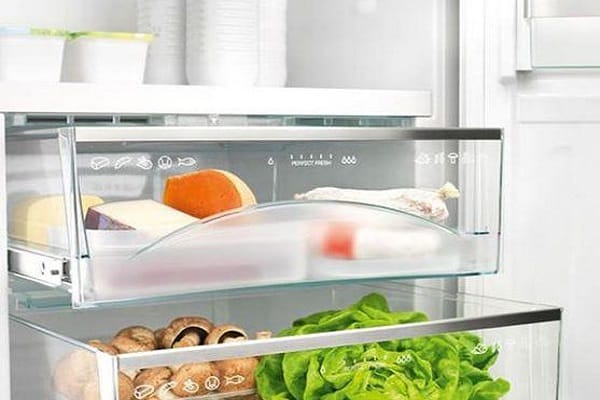 apartment in the refrigerator