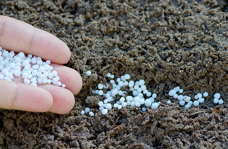 fertilizarea în sol
