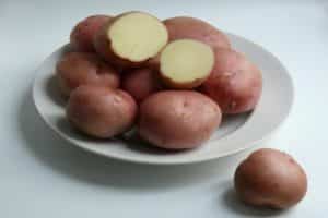 Opis odmiany ziemniaka Romano, cechy uprawy i pielęgnacji