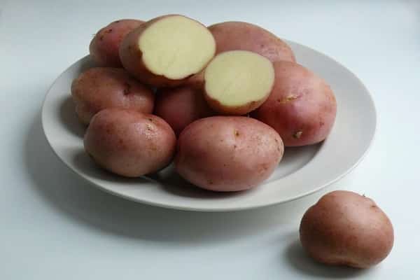 potato Romano