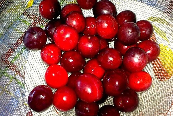 Cherry plum jam na may banilya