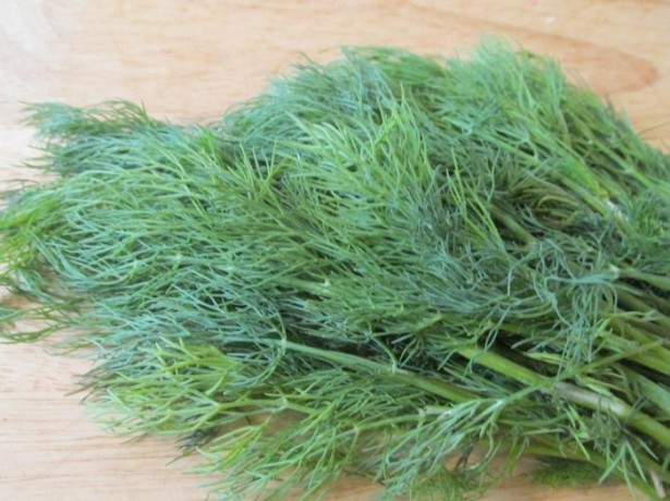 a bunch of dill