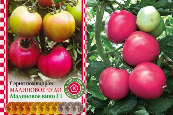 tomatenzaden Frambozenwijn f1