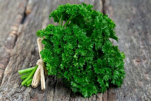 contraindications for parsley
