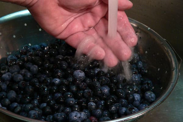 Mứt blueberry