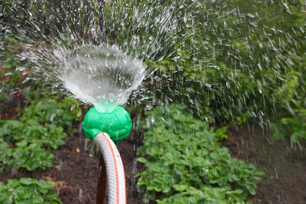 processo di irrigazione del giardino