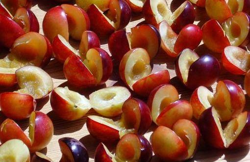 ciupită prune de cireș