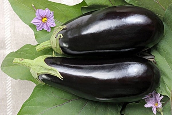 aubergine uiterlijk