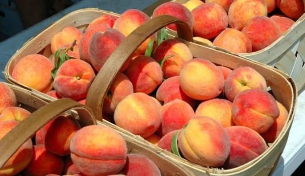 persikor i en korg