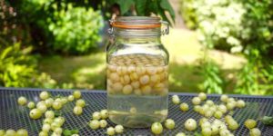 The best recipes for making gooseberry compote for the winter step by step