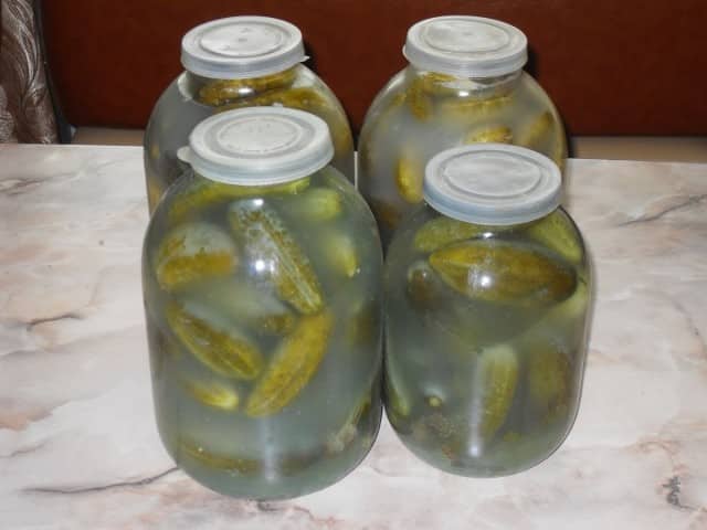 troebele komkommers in potten