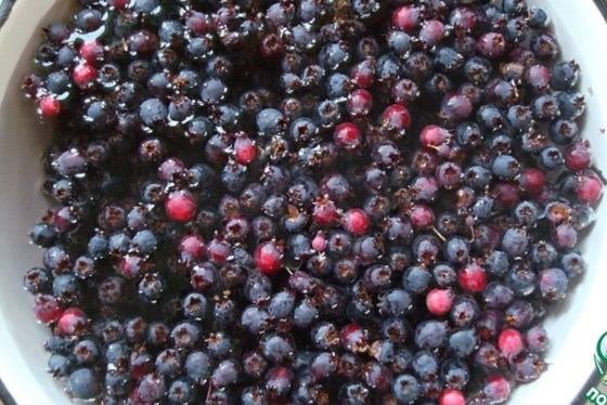 game berries
